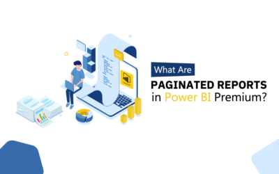 What Are Paginated Reports in Power BI Premium?