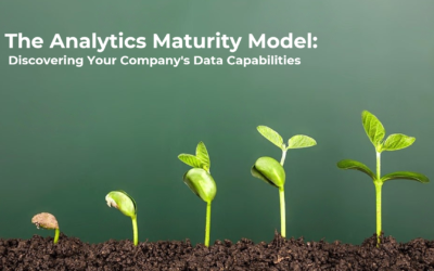 The Analytics Maturity Model: Discovering Your Company’s Data Capabilities
