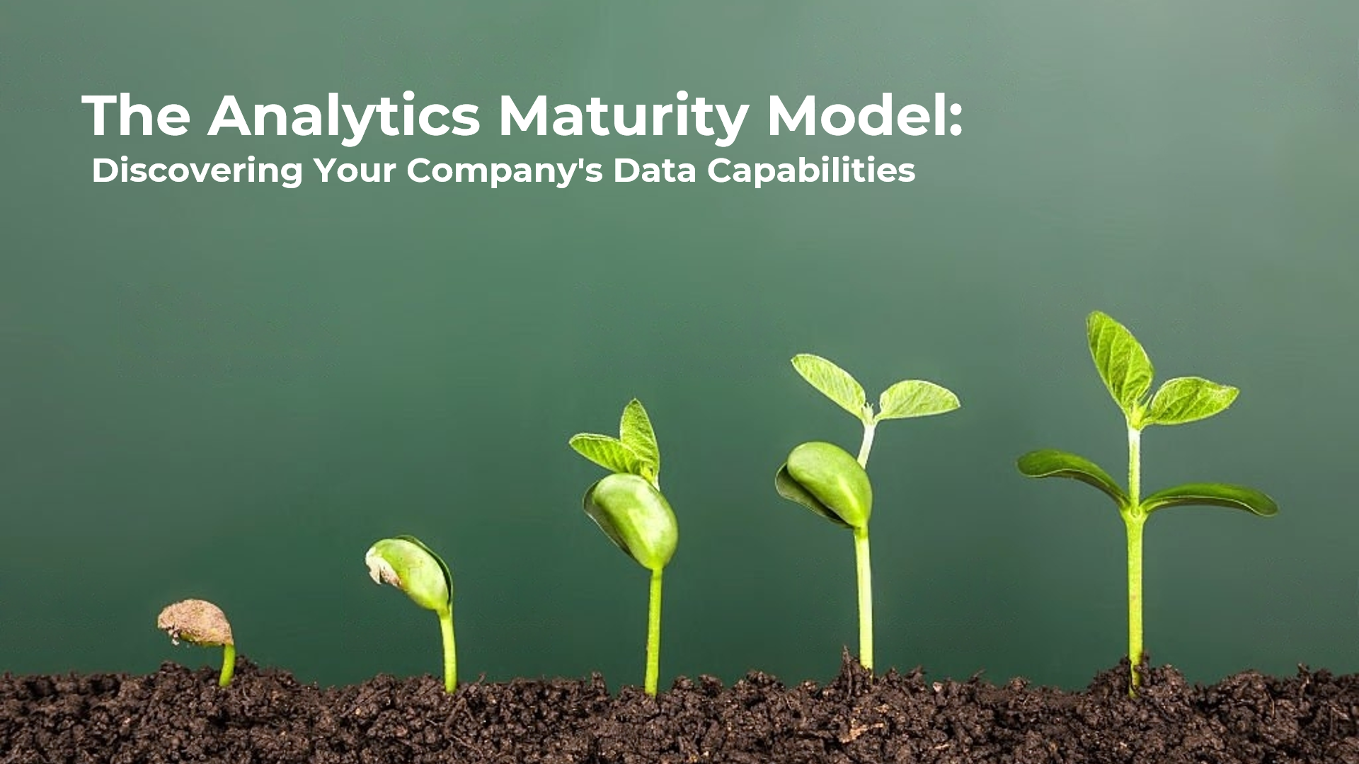 Analytics Evolution: A Guide to Identifying Your Organization's Stage